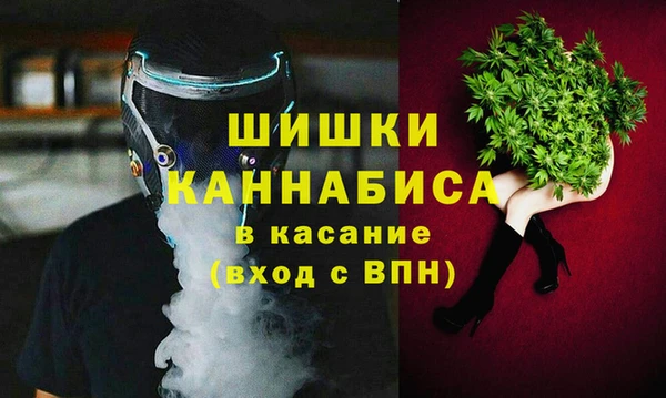 ГАЛЛЮЦИНОГЕННЫЕ ГРИБЫ Алзамай