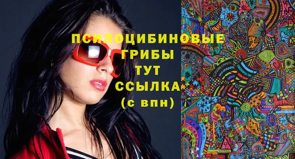 соль ск Новодвинск