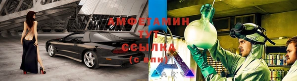 ГАЛЛЮЦИНОГЕННЫЕ ГРИБЫ Алзамай