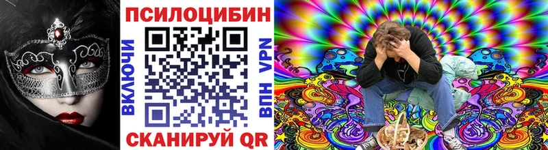 omg сайт  Алапаевск  Галлюциногенные грибы Psilocybe 